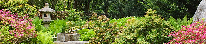 Methoden in Systemischem Coaching und Supervision