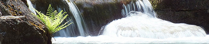 Systemisches Coaching in N�rnberg